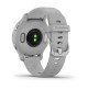 Venu 2S - Silver Stainless Steel Bezel With Mist Gray Case and Silicone Band - 010-02429-12 - Garmin